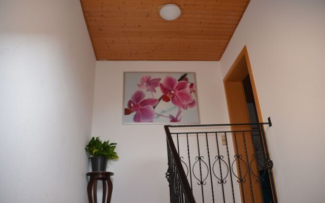 Mountain View Rooms