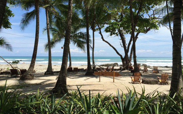 Hotel Tropico Latino