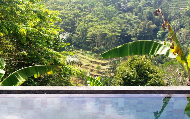 Shangrilah Villas