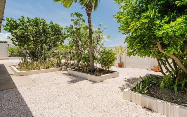 Mangel Halto Aruba one Minute Walk to Beach Apt1