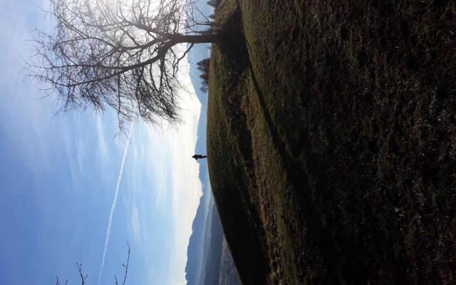 Apartment in NOVELLA 41460