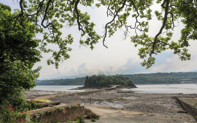 Ynys Castell
