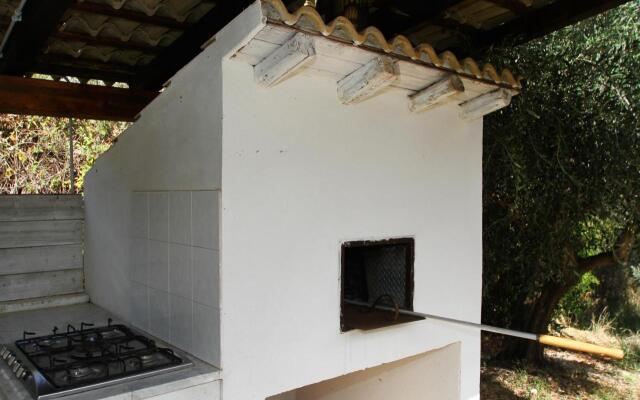 La Gabbianella E Il Gatto