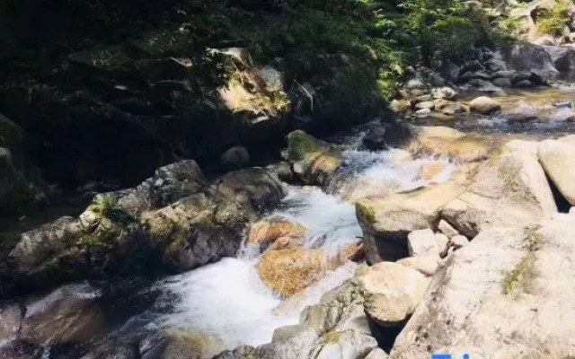 New Taoyuan Mountain Village
