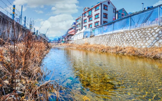 Chuncheon Pine Hill Pension