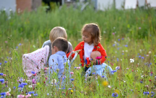 Gîtes LES Hauts DE Toulvern