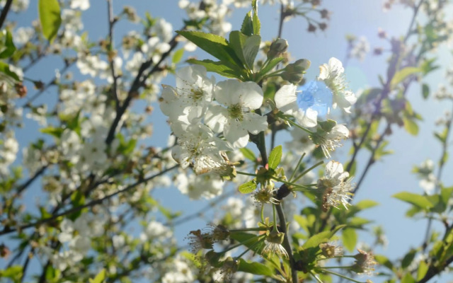 Olá Belém! Cozy Windmill, Stunning views to Lisboa