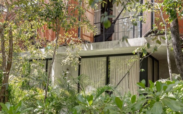 Seremonia Origen by Vida de Playa