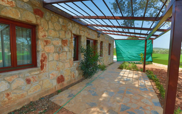 Tomato Bodrum