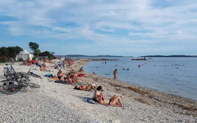 Apartment Olive Garden