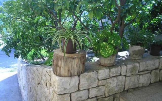 Apartment and Room Padovan