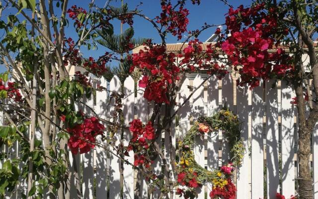 Roof-top garden apartment really well located in Athens