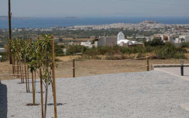 Naxos Infinity Villa and Suites