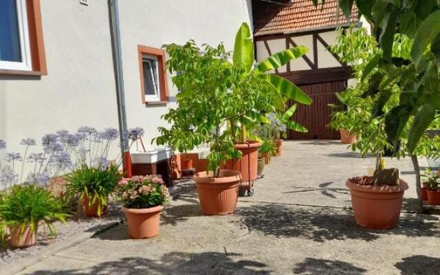 Ferienwohnung "Zum alten Kuhstall"