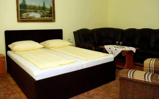 Guesthouse Casa Baciu