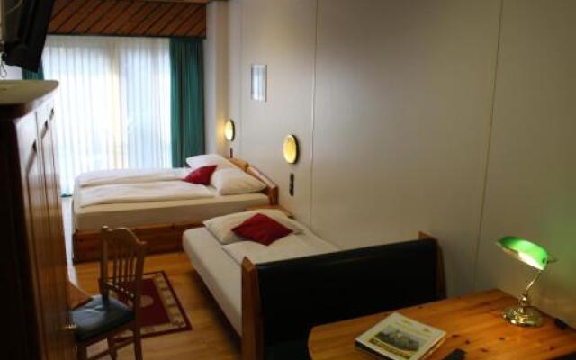 Hotel Asperner Lwe