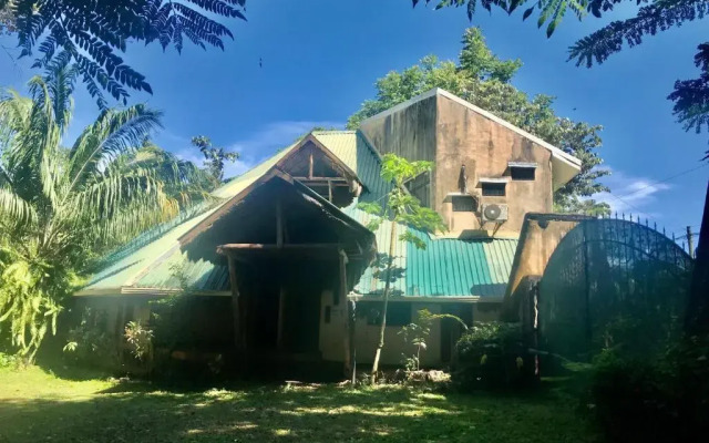 Palapa Hut Hostel & Camping