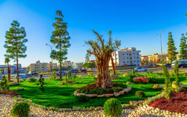 Olive Tree Amman