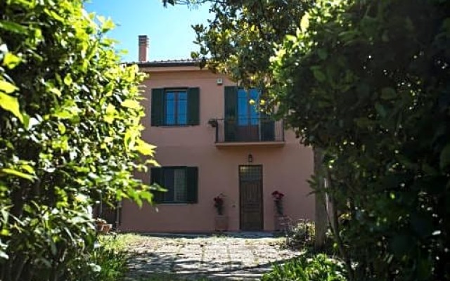 La Villa Delle Rose