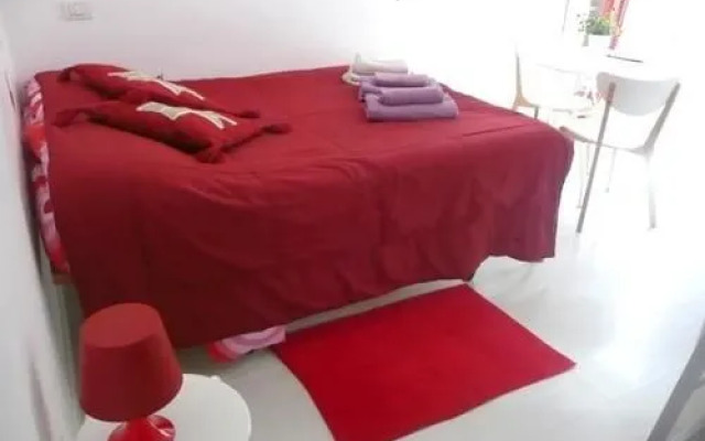 Colosseum In The Heart Studio