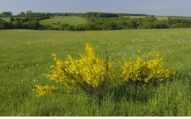 Ferienwohnung Gross B