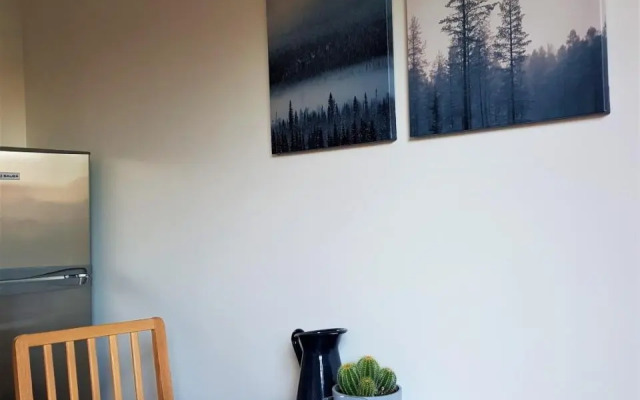 Modern city center apartment