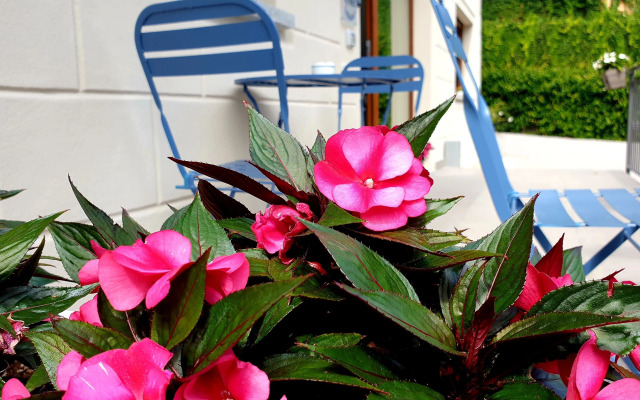 Bb I Lake It Bellagio