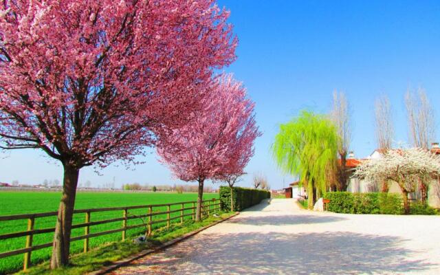 Agriturismo Le Cipressine