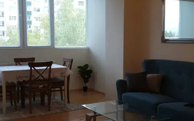 Sunny and Charming Domain for Your Stay in Sofia