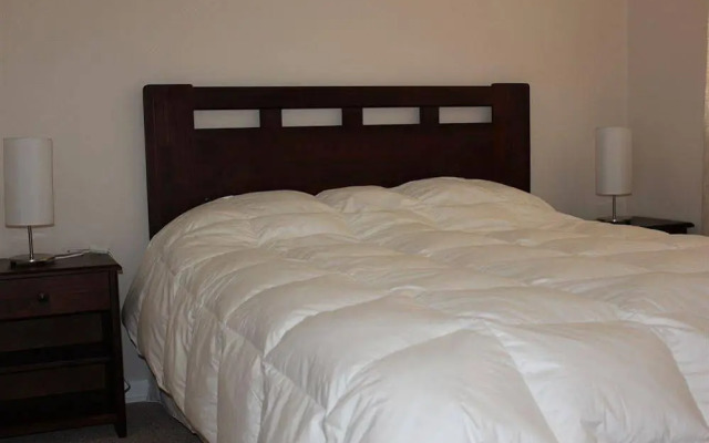 Alto San Francisco - ST11043