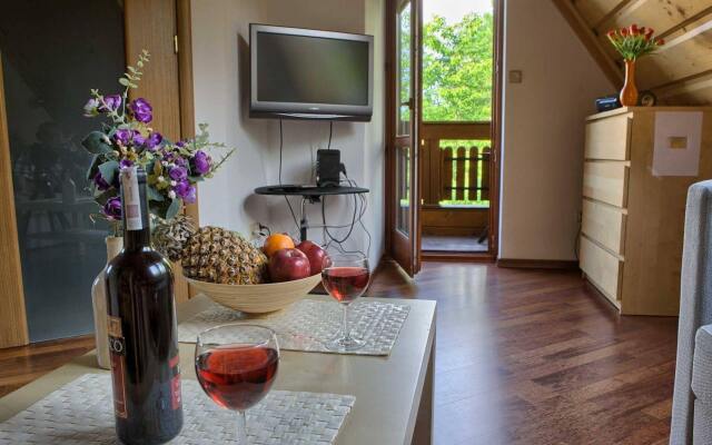 VisitZakopane White River Apartments