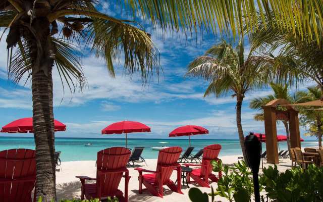 Bohio Dive Resort