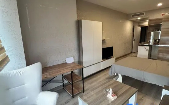Modern Cozy Studio