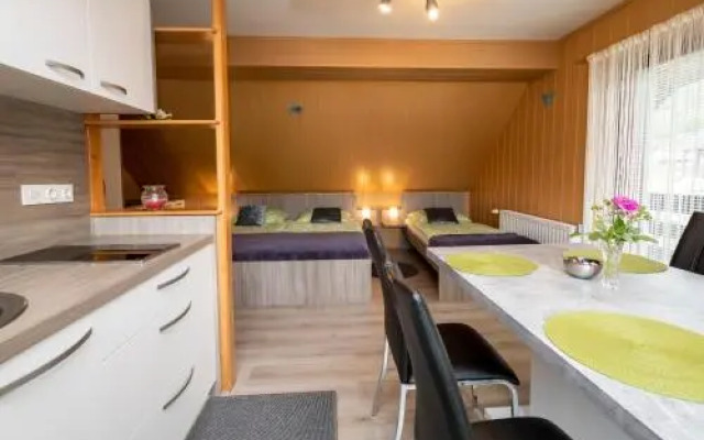 Apartment Kikelj