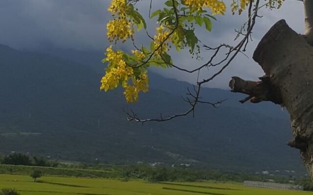 Hualien Pine