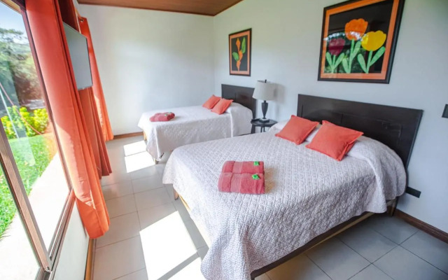 Macadamia - Monteverde