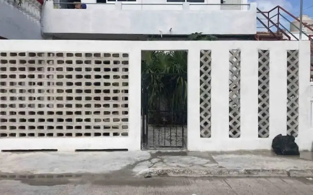 Studios erizo