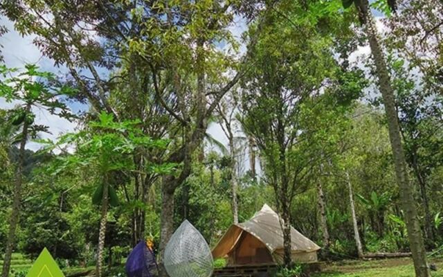 Damarwidi Glamping - Campsite