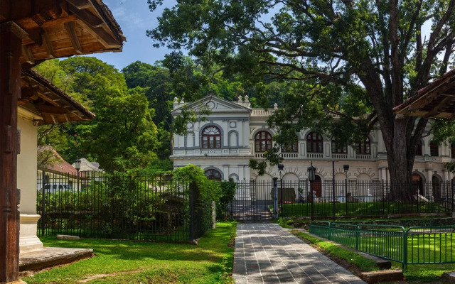 leisure bug sri lankan tours and home stay