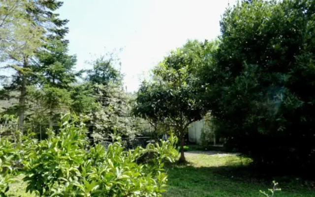 Apartment Jasna