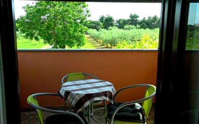 Apartments Garden Monsena