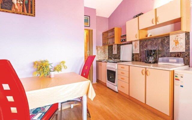 Nice Apartment in Liznjan With 1 Bedrooms
