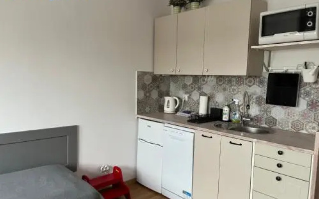 Apartament Słodowiec