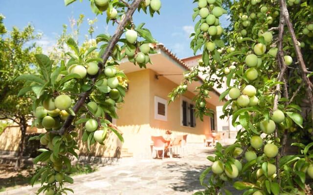 Nel Giardino Dei Limoni