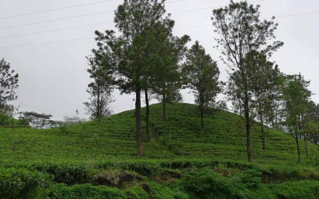 Misty Hills Bungalow