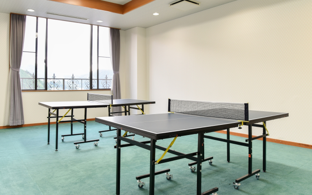 Hotel de Marronnier Gero Onsen