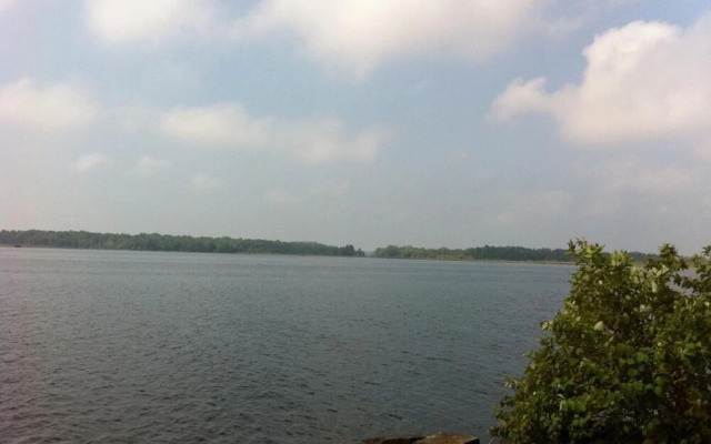 Seymour Point Cottage