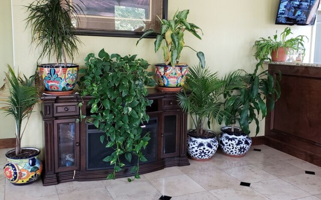 Taylor village inn and suites