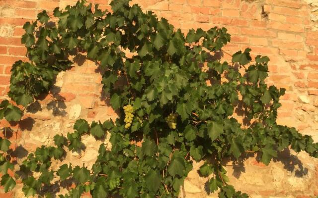 Podere Mieli