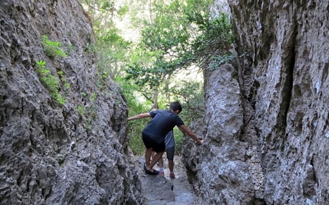 Les Hauts d'Issensac